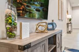 SUPER BOHO - DESIGNs AT DISNEY's ENTRY!